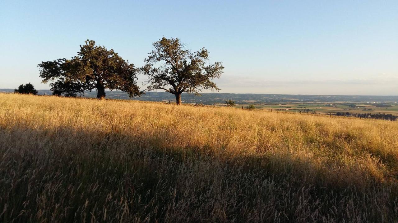 Au Dessus De Parady Gillonnay Bagian luar foto